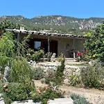 Beso Patara