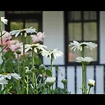 Villa Rhapsody Pension