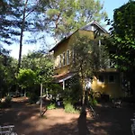Daphne House