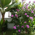 Flower Villa Apart