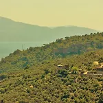 Assos Kartal Yuvasi Hotel