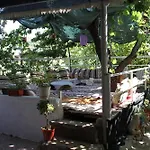 Rose Hotel B&B
