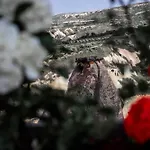 Kappadoks Cave Hotel