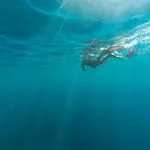 Kupina Alacati