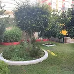 Gold Sun