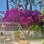 Carikci Hotel