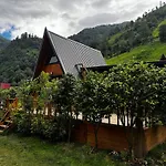 Terapi Tatil Koeyue