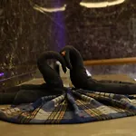 Cip Hotel & Spa - Istanbul Bakirkoey City Center