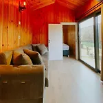 Miya Garden Yalikavak Tiny House Hotel Bodrum