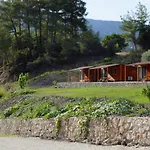 Olimpos Altun Pansiyon