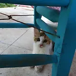 Nar Pansiyon