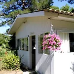 Defne Pension