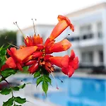 Delita Suite Hotel Turkbuku