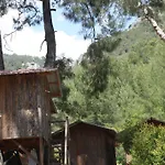 Saban Tree Houses