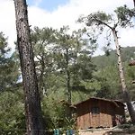 Saban Tree Houses