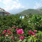 Garden Resort Bergamot