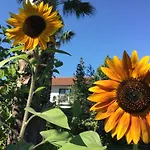 Dalyan Garden Pension