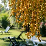 Holiday Calbis Hotel
