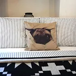 Pug Rooms