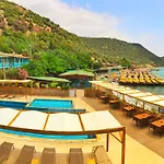 Aristo Pension