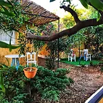Cesme Ekolojik Tatil Koeyue