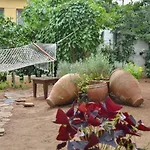 Mavi Pension