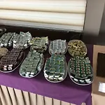 Otel Diyojen