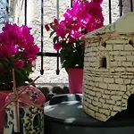 Kispet Marti Boutique Hotel