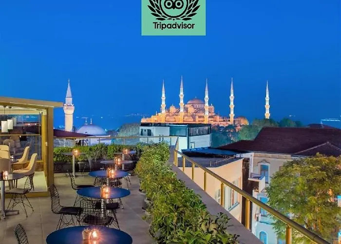 Tan Hotel - Special Category