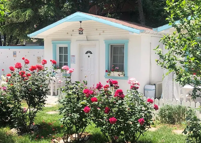 Poyraz Resort