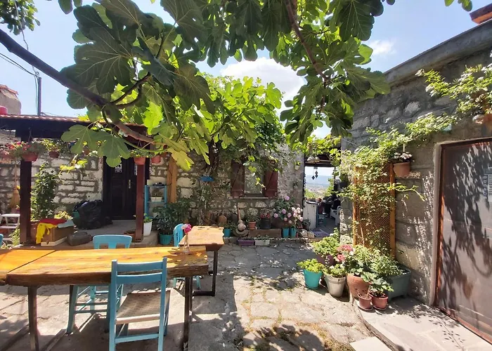 Dut Agaci Pension