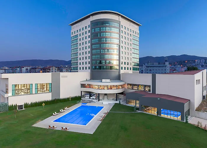 Dedeman Tokat