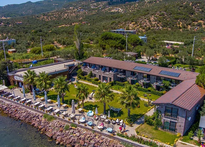 Assos Zeyti̇N Han Special Class Hotel Adults Only 12