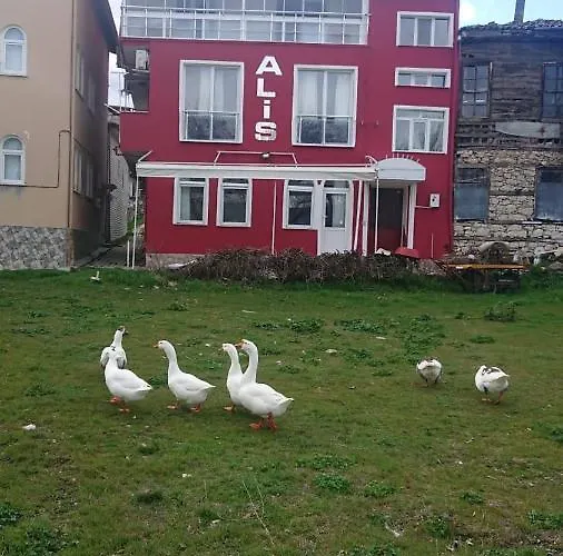 Ali\'S Pension