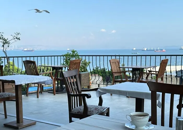 Queen Seagull Boutique Hotel