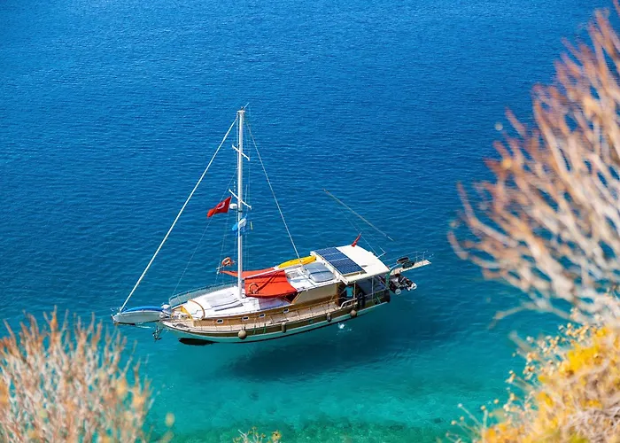Blue Cruise