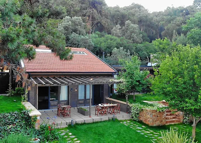 Triada Hotel Bueyuekada