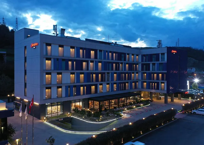 Hampton By Hilton Samsun