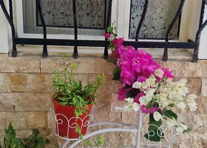 Your Home In Kusadasi