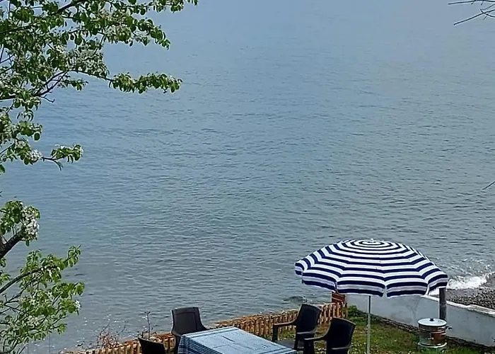 Seafront Apartment By The Sea And With A Beach And With Big Garden