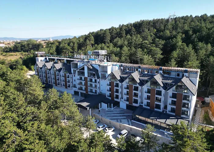 Amorium Hotel & Wooden Stone House