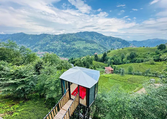 Organic Village Bungalow