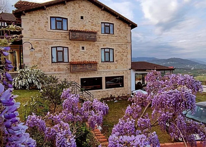 Hayat Oksijen Resort