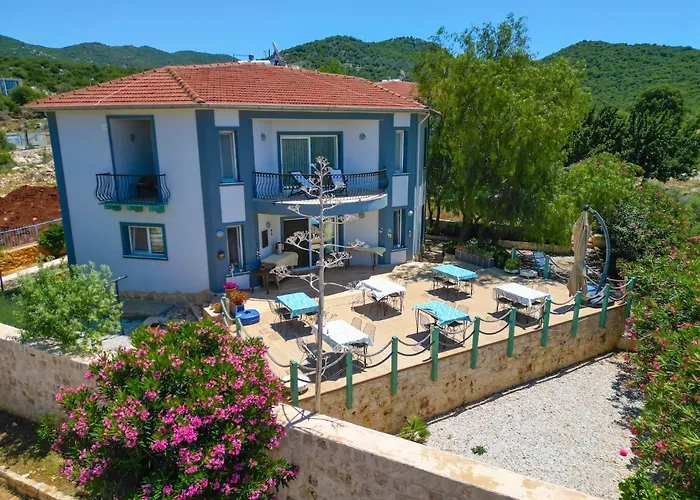 Ozy Houses - Lacitrus Villa&Hotel