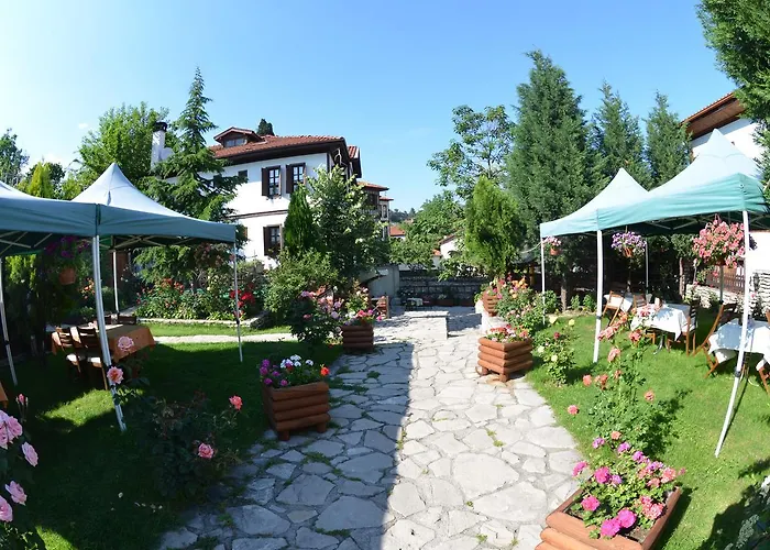 Akce Konak
