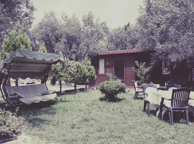 Orchidee Bungalow