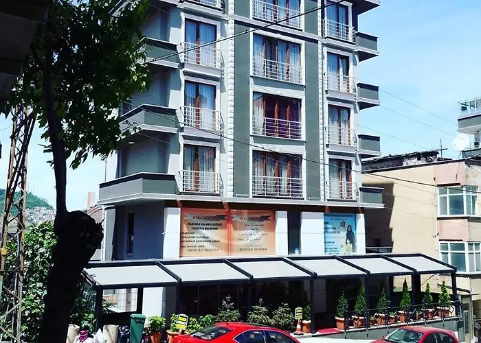 Oezmen Residence