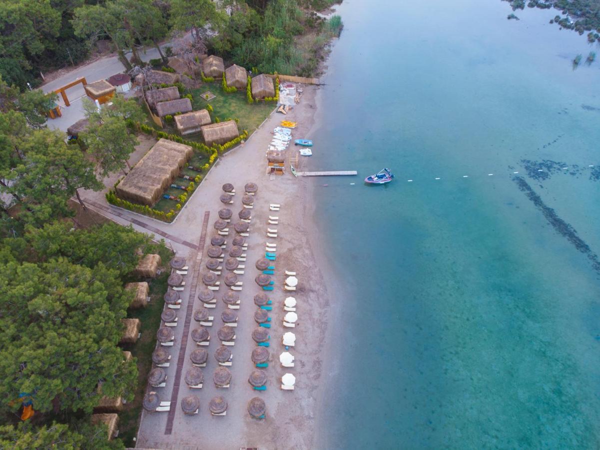 Pine & Luxury Concept Hotel