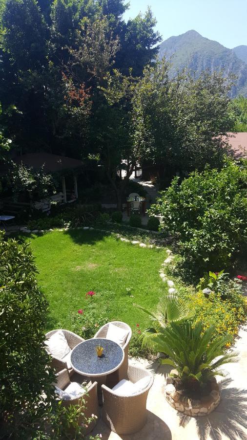 Monte 3*