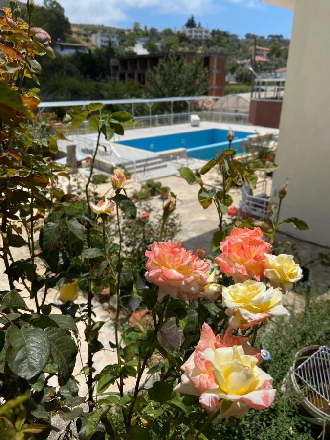Rose 3* Patara